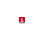Soromap Diluant D223 pour Laque SL2/V2 0,5l Pinceau