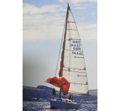 Rule 55 Spinnaker Pop System 16 m maximum