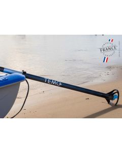 TEMO Moteur Electrique. Temo-450